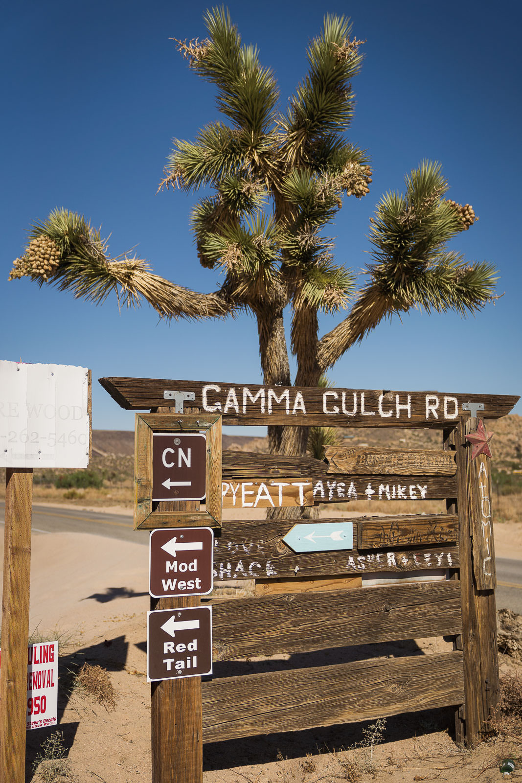 001-Love-Story-Photography-Pioneertown-Elopement-20220703