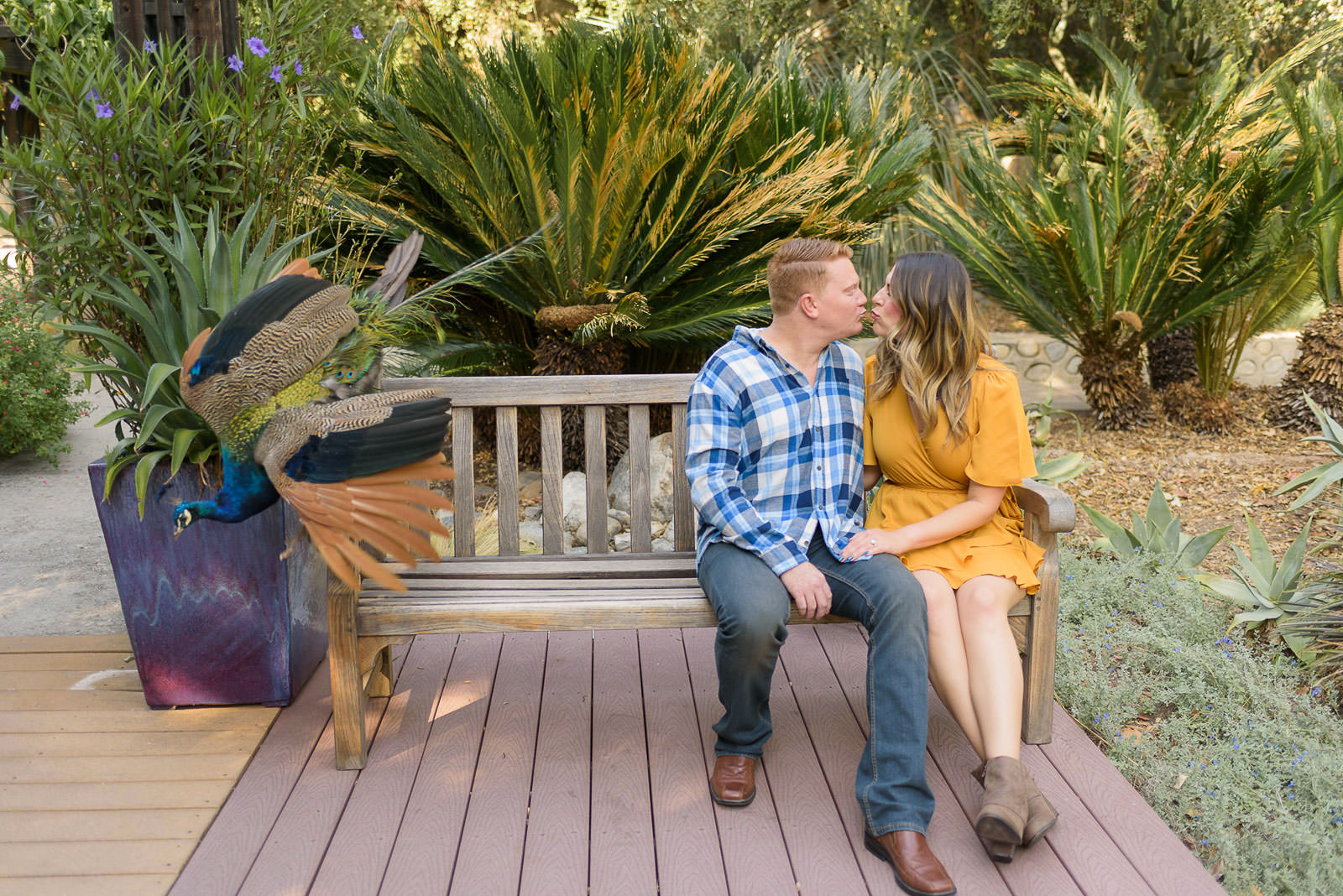 002-Love-Story-Photography-Arboretum-20181024