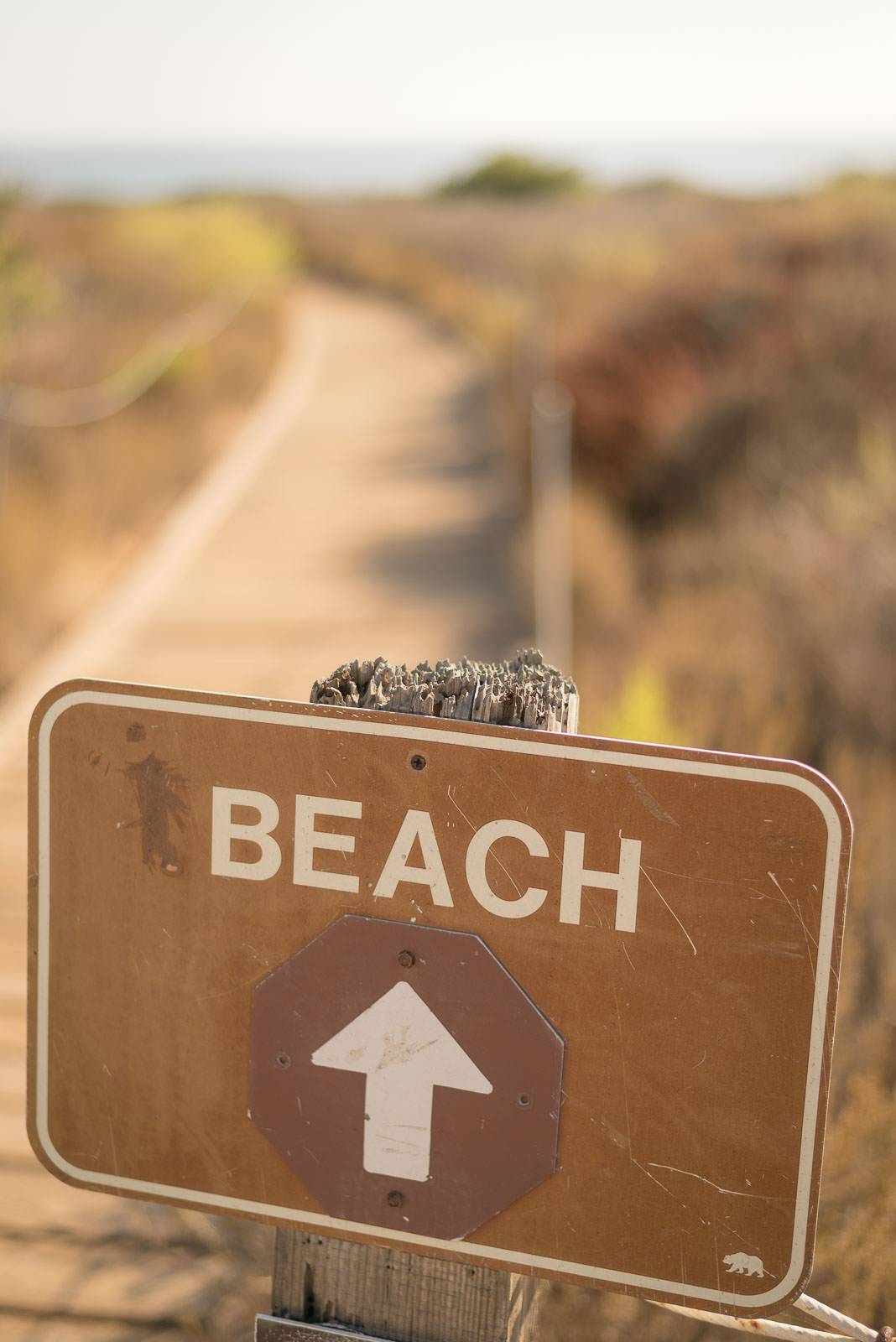 008-Love-Story-Photography-Crystal-Cove-Engagement-20220722